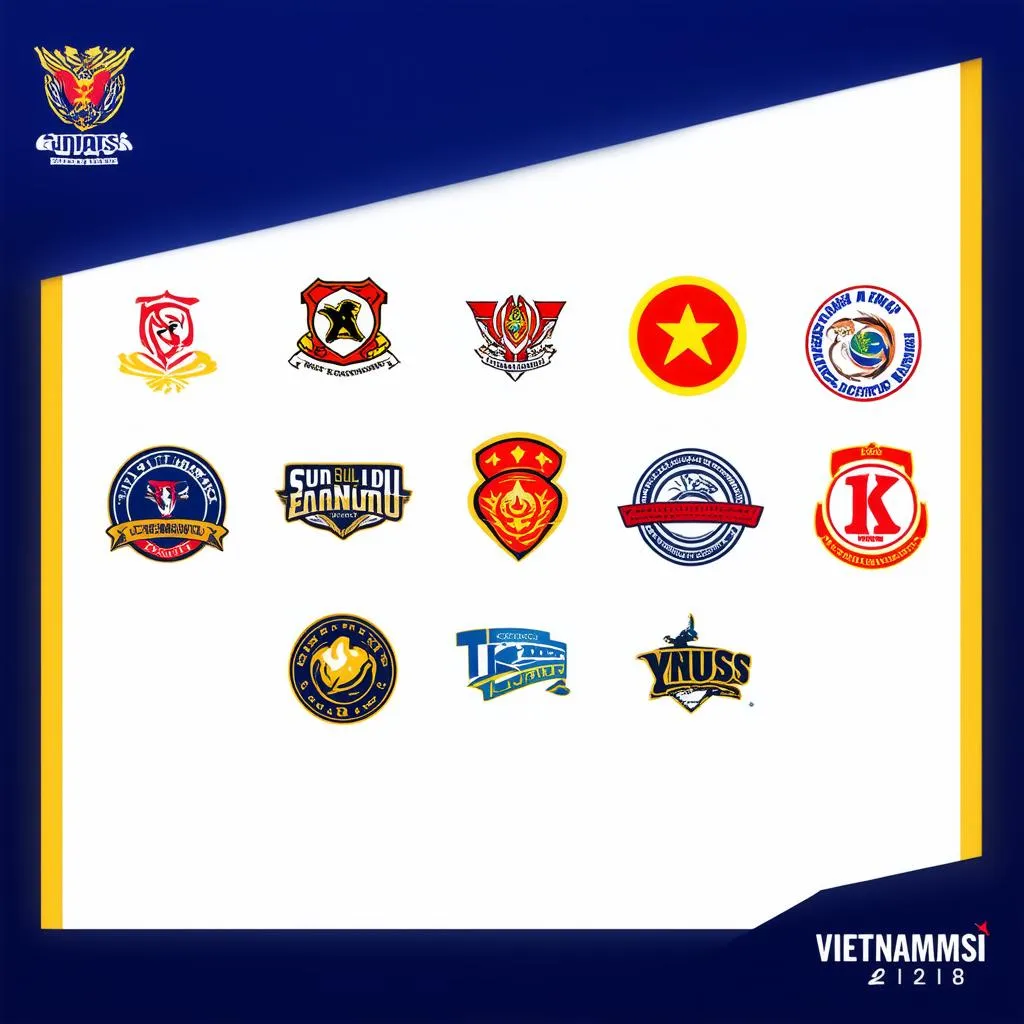 Đội tuyển tham gia Vietnammsi 2018