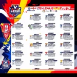 Lịch thi đấu V-League 2017