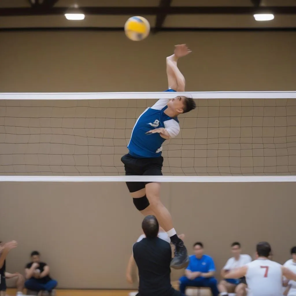 Male Volleyball Player