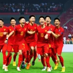 Tuyển Việt Nam AFF Cup 2018