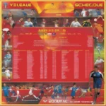 Lịch thi đấu V-League 2008