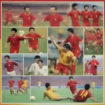 Lịch sử bóng đá Việt Nam tại Asian Cup