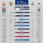 Lịch thi đấu AFC Champions League 2019