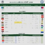 Lịch Thi Đấu AFC Cup SLNA Mới Nhất