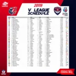 Lịch thi đấu V.League 2019