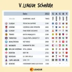 Lịch thi đấu V.League Việt Nam