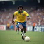 Pelé - Vô địch Kok: "Vua bóng đá" - Danh hiệu vô địch Copa Libertadores, World Cup