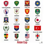 Danh sách các đội tuyển tham dự Asian Cup