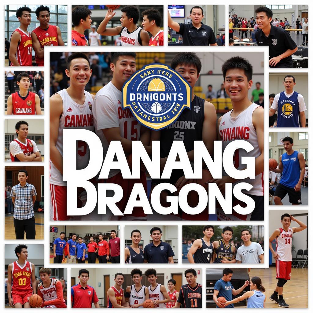 Đà Nẵng Dragons: Hành trình VBA