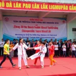 Lễ khai mạc giải vô địch trẻ Vovinam tỉnh Đắk Lắk 2019 với sự tham gia của các võ sĩ nhí và đại biểu